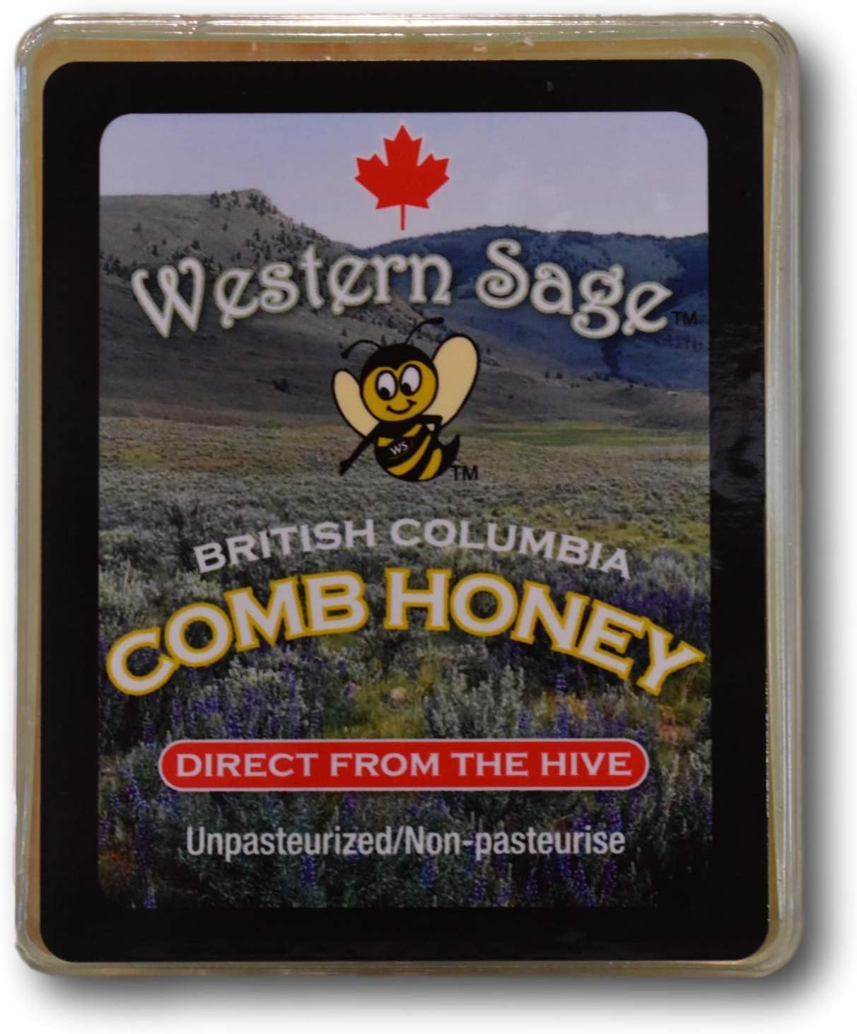 Western Sage Canadian Honey Comb- Direct From the Hive (60-80g)