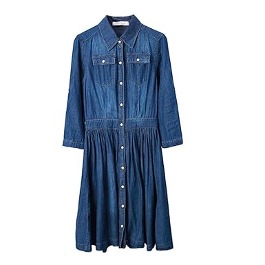 amazon plus size denim dresses