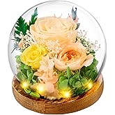 pisyae Gifts for Women Birthday Preserved Rose Forever Flower Preserved Flowers in Glass Fresh Flowers for Delivery Prime Roses for Mom Grandma Sister Daughter.