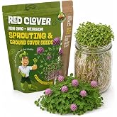 Todd's Seeds Red Clover Sprouting Seeds 1lb - Microgreens &amp; Cover Crop | 90%+ germination rate. USA grown &amp; packed. Ready in 4-6 days. Nitrogen-fixing cover crop. Rich in isoflavones, Vitamins C &amp; K