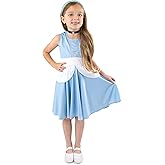 Little Adventures Cinderella Princess Twirl Dress