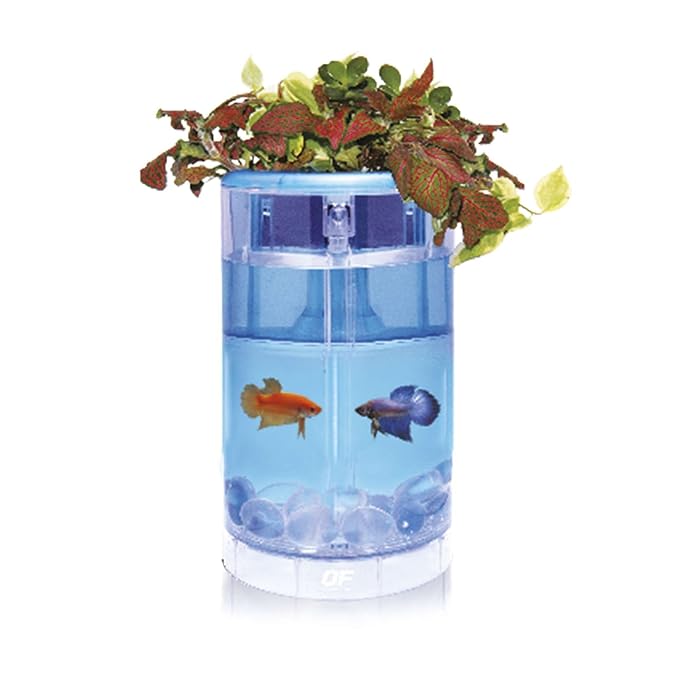 Ocean Free Betta Flora Fish Tank Aquarium Hydroponic Siamese Fighter