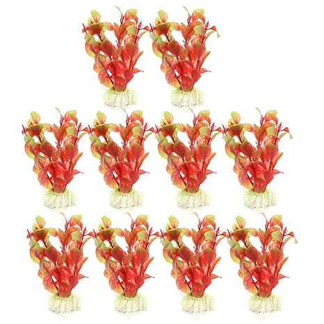 Corto la pecera | Peceras