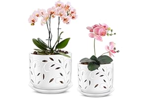 EFISPSS Orchid Pot with Holes, 5+6Inch Ceramic Plant Pots with Drainage Holes and Tray, Promoting Air Circulation and Drainage, Indoor/Outdoor White Flower Pots