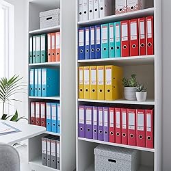 Esselte A4 Lever Arch File, Blue, 52mm