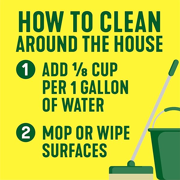 PINE-SOL MULTI-SURFACE CLEANER, ORIGINAL, 20 FLUID OUNCES