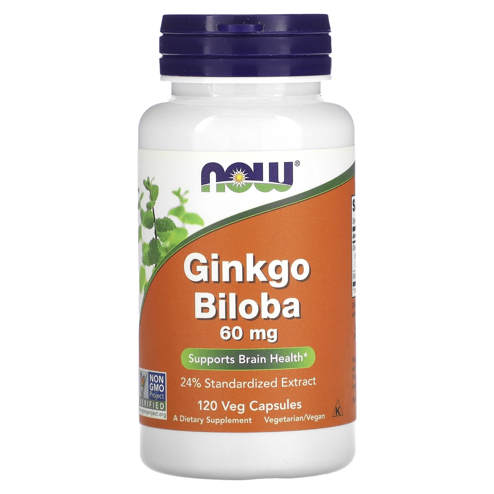 60mg Ginkgo Biloba Supplement 120 Capsules