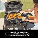 Ninja Woodfire XL Flat Plate Non-Stick Griddle Plate OG850 OG901 view 5