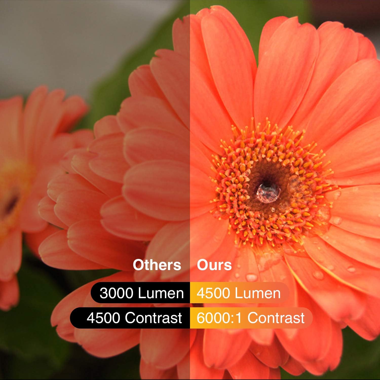 High Resolution LED Projector 4500 Lumens Digital HD WXGA LCD Video ...