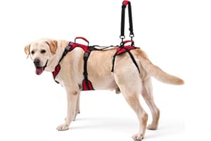Lafoty Dog Lift Harness for Medium Dogs, Dual Handle Dog Support Harness for Daily Walking Assistance, Male Dog-Friendly, Bre