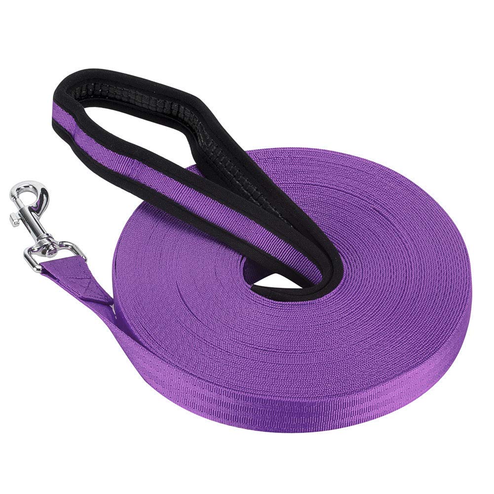 Vivifying Training Lead for Dogs, 20m/65ft Long Nylon Long Line Dog Lead for Pet Tracking Training Obedience Lead Leash (Purple)