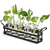 Mkono Propagation Stations with Metal Stand, Desktop Plant Terrarium Glass Planter Vase for Hydroponic Plants Flower Cutting Home Office Garden Decor Plant Lover Gifts, 5 Jars