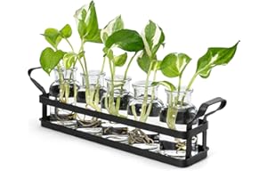 Mkono Propagation Stations with Metal Stand, Desktop Plant Terrarium Glass Planter Vase for Hydroponic Plants Flower Cutting Home Office Garden Decor Plant Lover Gifts, 5 Jars