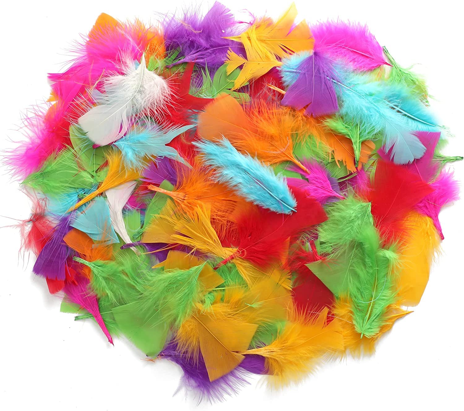 TRIXES 250PCS Bright Coloured Feathers for Crafting - Supplies for Kids' Arts & Crafts - Easter Decorations, Hats, Bonnets, Balloons & More - Essential Craft Materials