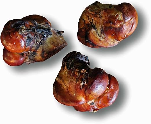 large knuckle bones for dogs