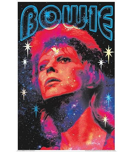 Amazon.com: Picture Peddler David Bowie Glitter Ziggy Stardust Non
