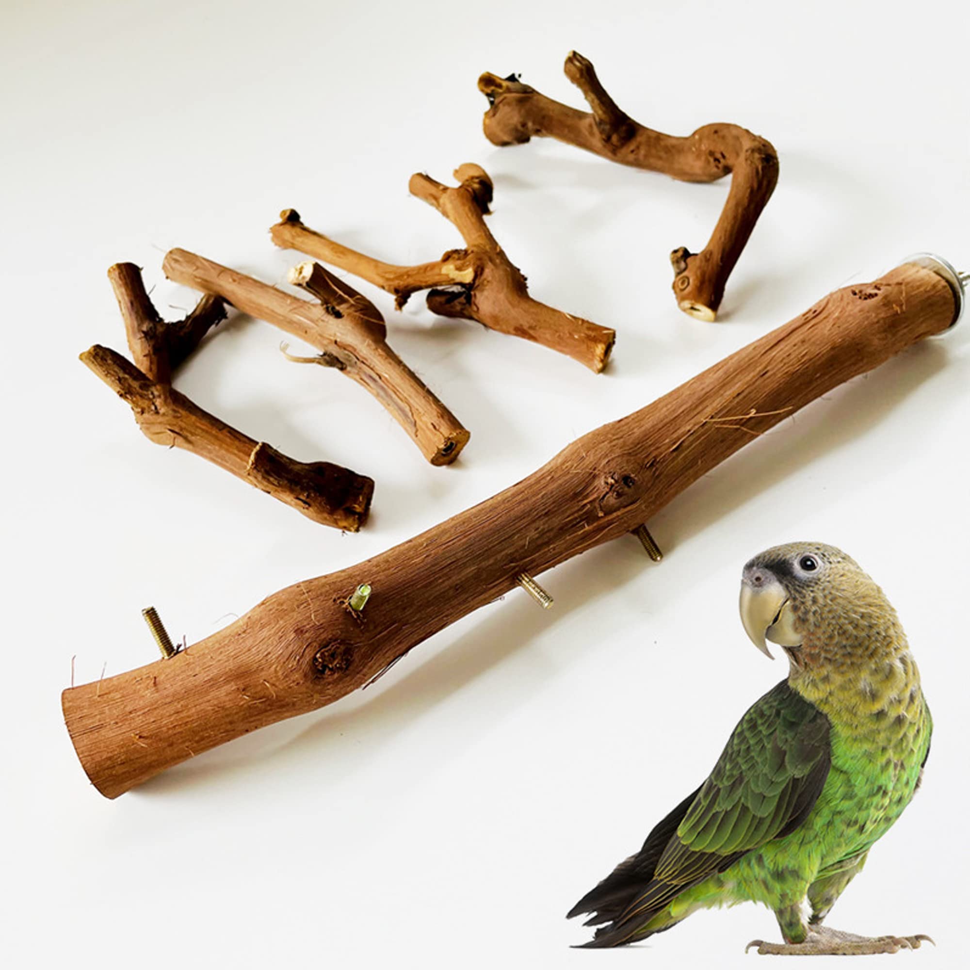Allazone Natural Parrot Perch Bird Stand Branch Wild Grape Stick Paw Grinding Branch Parakeet Climbing Standing Branches Toy Chewable Cage Accessories for Small Lovebirds Budgies Cockatiels