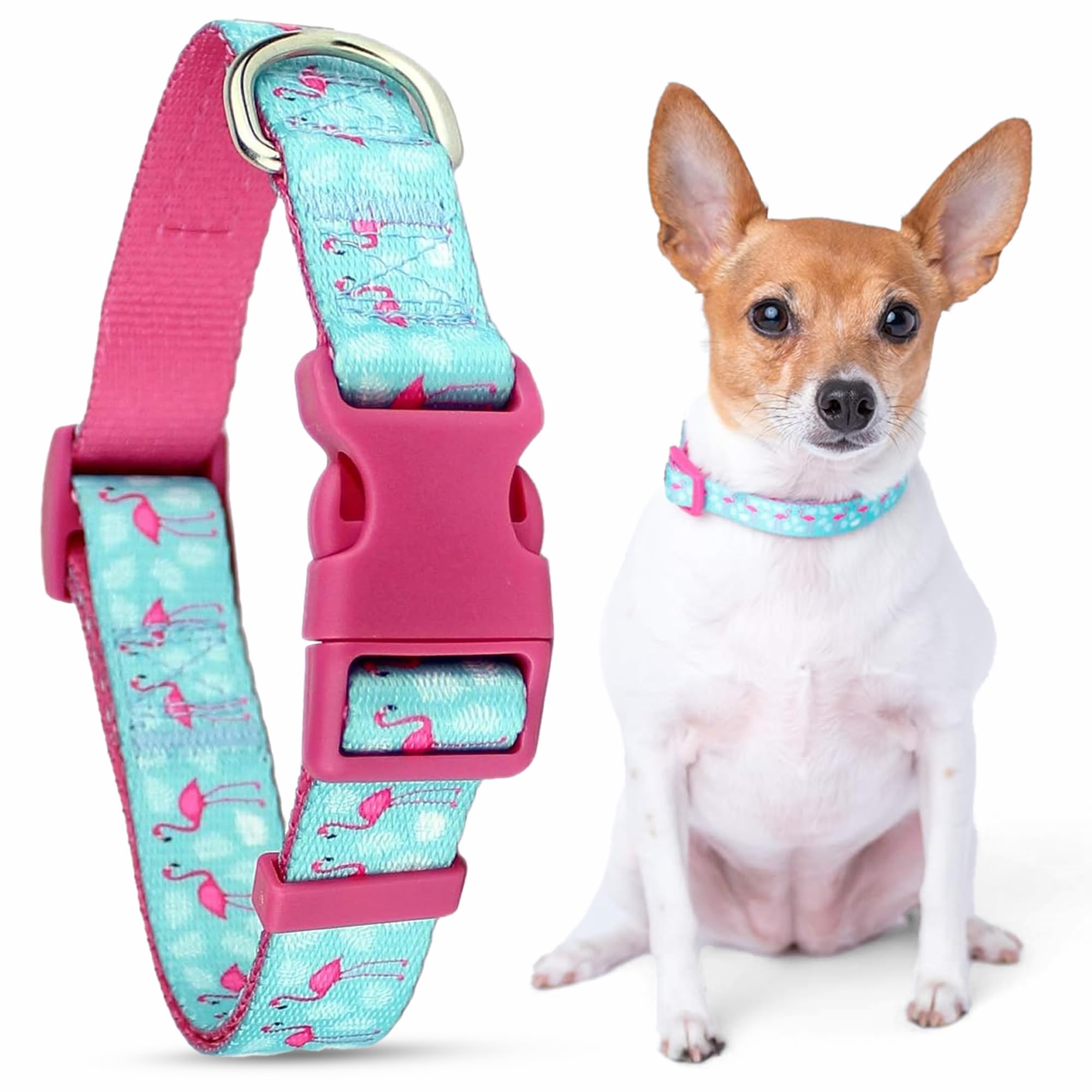 Parisian Pet Adjustable Nylon Dog Collar | Flamingos - Girly Dog Collar | Size - XS