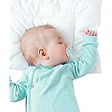 Baby Toddler First Pillow 2 Pack with Pillowcase (13 x 18), Baby Toddler 's Flat Pillows, Machine Washable Soft Travel Pillow