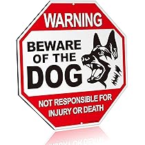 邦楽 Caution!/SERIKA with DOG il_fullxfull.4470715588_4386.jpg