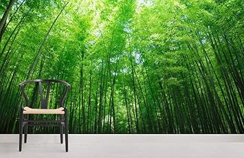 Muro De Arboles Delgados Altos Mural De Aurea Fondos De Escritorio Decoracion Del Hogar Amazon Es Bricolaje Y Herramientas