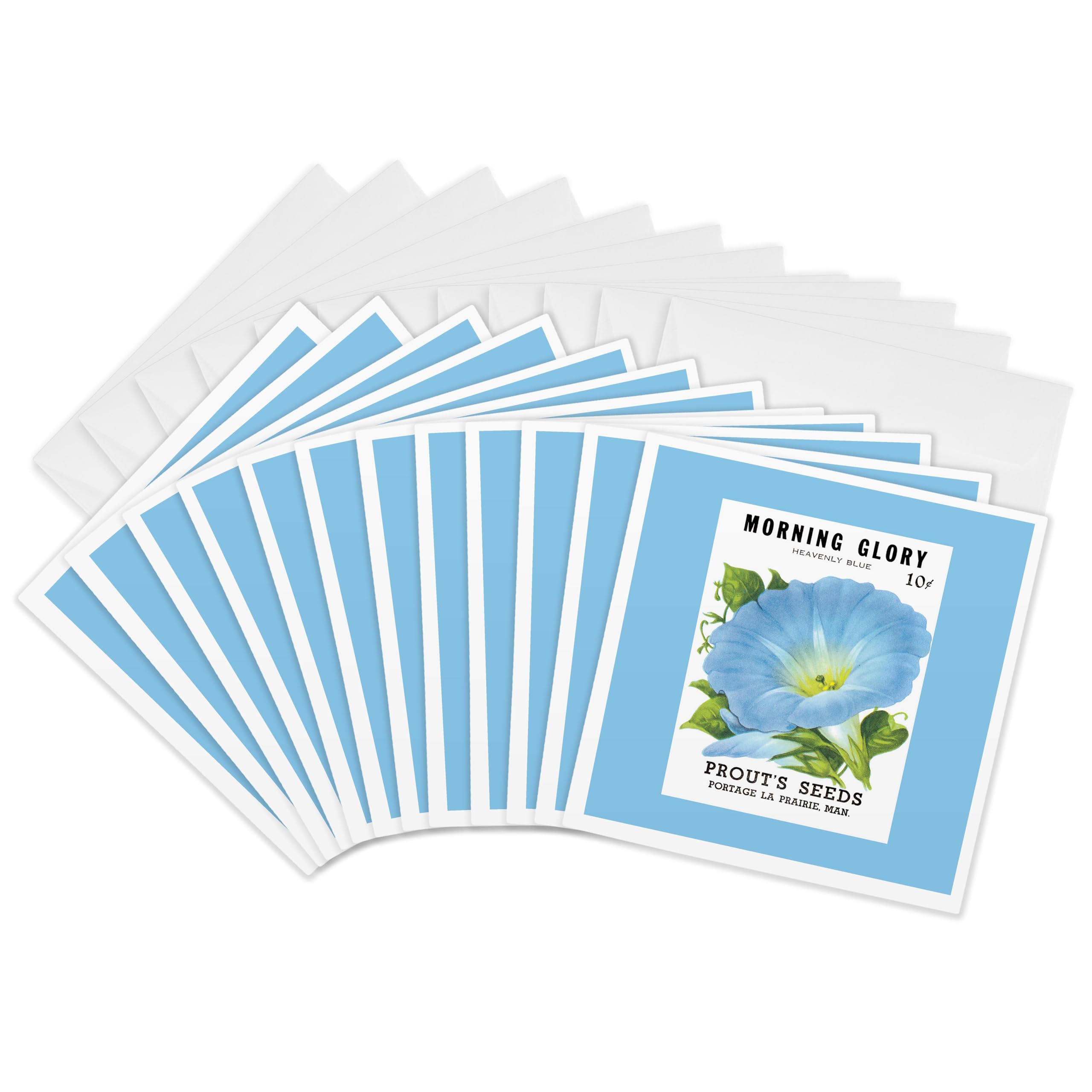 3dRose gc_170191_2 6 x 6-Inch "Morning Glory Heavenly Blue Prouts Seeds Portage La Prairie" Greeting Card (Set of 12)