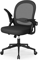 Naspaluro Ergonomic Desk Chair Mesh Back Flip-Up Armrests Black view 1
