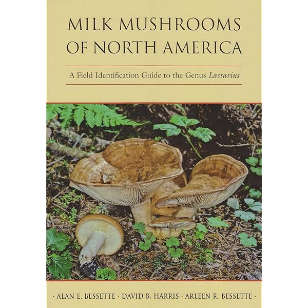洋書 Mushrooms Amazon.co.jp: Mushrooms: River Cottage Handbook No.1