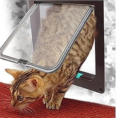 amazon cat flap microchip