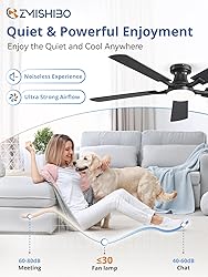 ZMISHIBO 52 Inch RGB Ceiling Fan with