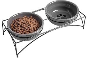 Y YHY Ceramic Raised Pet Bowls 12 oz Capacity 2.75” Height Sturdy Metal Stand, Grey