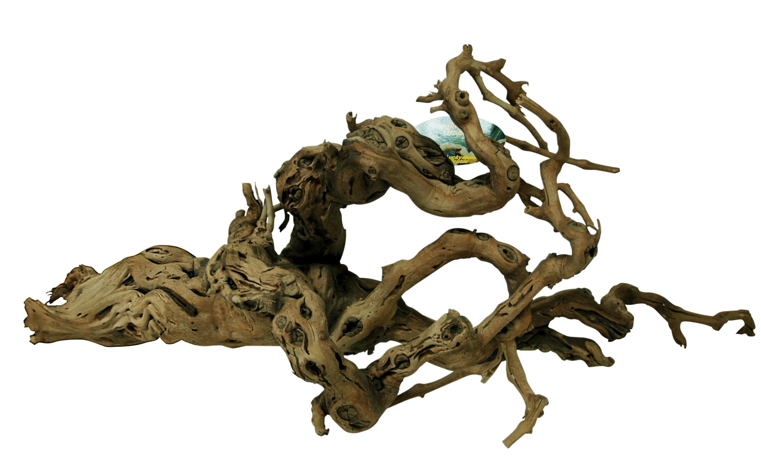 Lucky Reptile DLP- XL Premium Grapevine, XL