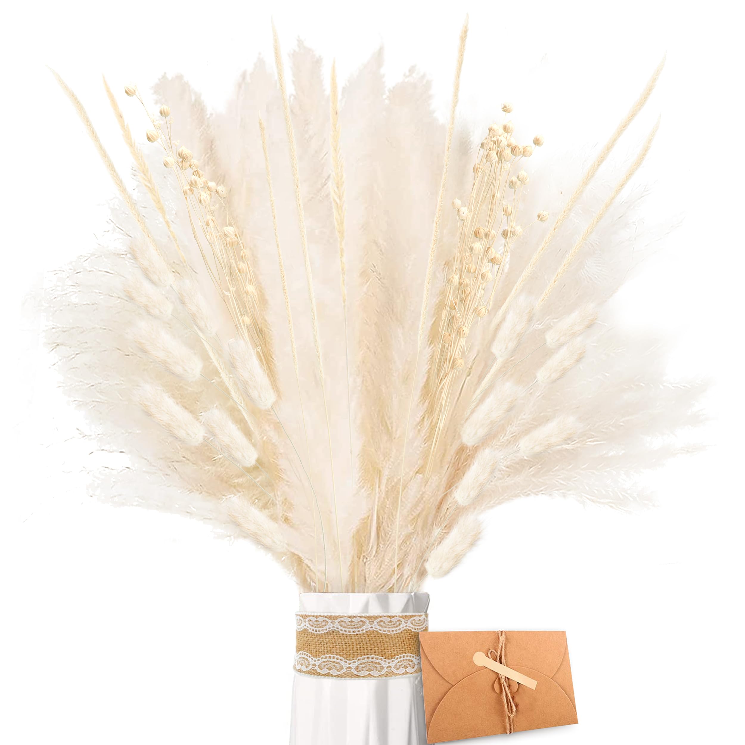 ZJTAPE Pampas Grass Dried - Natural Dried Flowers, White Pampas Grass Fluffy Fronds, Reed Grass, Bunny Tails Bouquet for Wedding Table Living Room Vases Boho Home Decor โ image 1