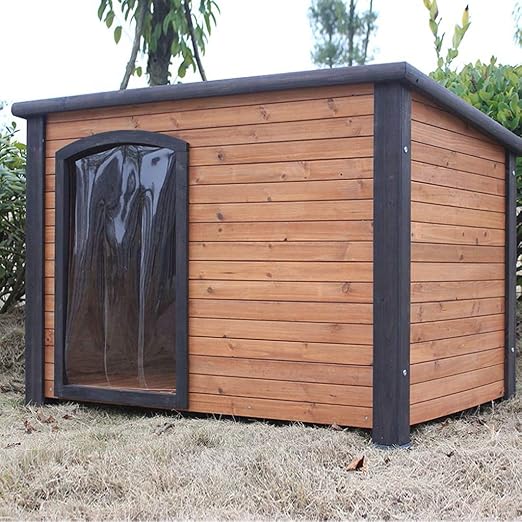 golden retriever house dog