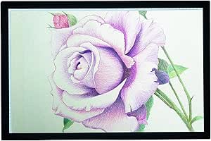 CO-Z LED Tablero de Dibujo luminoso A2 Tracing Light Box Mesa ...