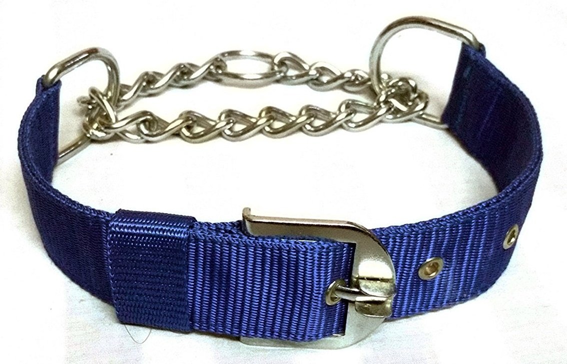 Buy and Durable Dog Choke Collar 4MM Large Dogs (Blue