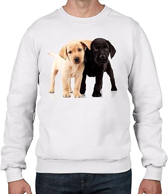 labrador jumper
