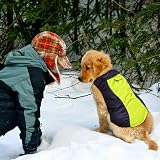 YFbrite Waterproof Dog Coat Lightweight Raincoat Adjustable Velcro Green Large view 6