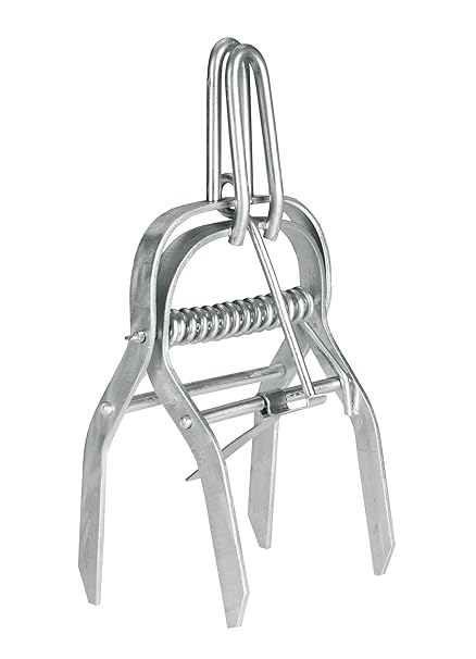 holländische Wühlmausfalle