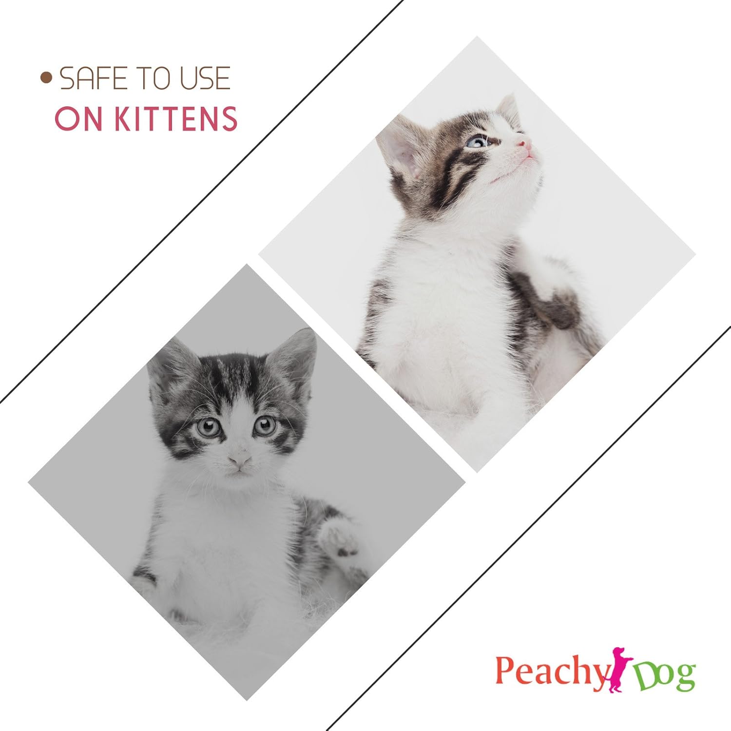 CatFresh Oatmeal Skin & Coat Spray Cleanses & Detangles, Soothes Irritations that Cause Excessive Licking, Chewing & Scratching, Moisturizes & Rejuvenates Skin, Neutralizes Odors & Removes Dander: Beauty