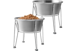 Wellbro Elevated Dog Bowls for Medium&Small Dogs - Stainless Steel 48oz/6 Cups Raised Feeder with Non-Slip Base, Dual Food & Water Bowls 2-Pack