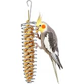 Pawfly Millet Spray Holder, Stainless Steel Millet Holder for Bird Cage | Parakeet Bird Cage Food Holder for Medium &amp; Large Birds, Foraging Feeder for Fruits Veggies &amp; Treats (Not For Small Birds)