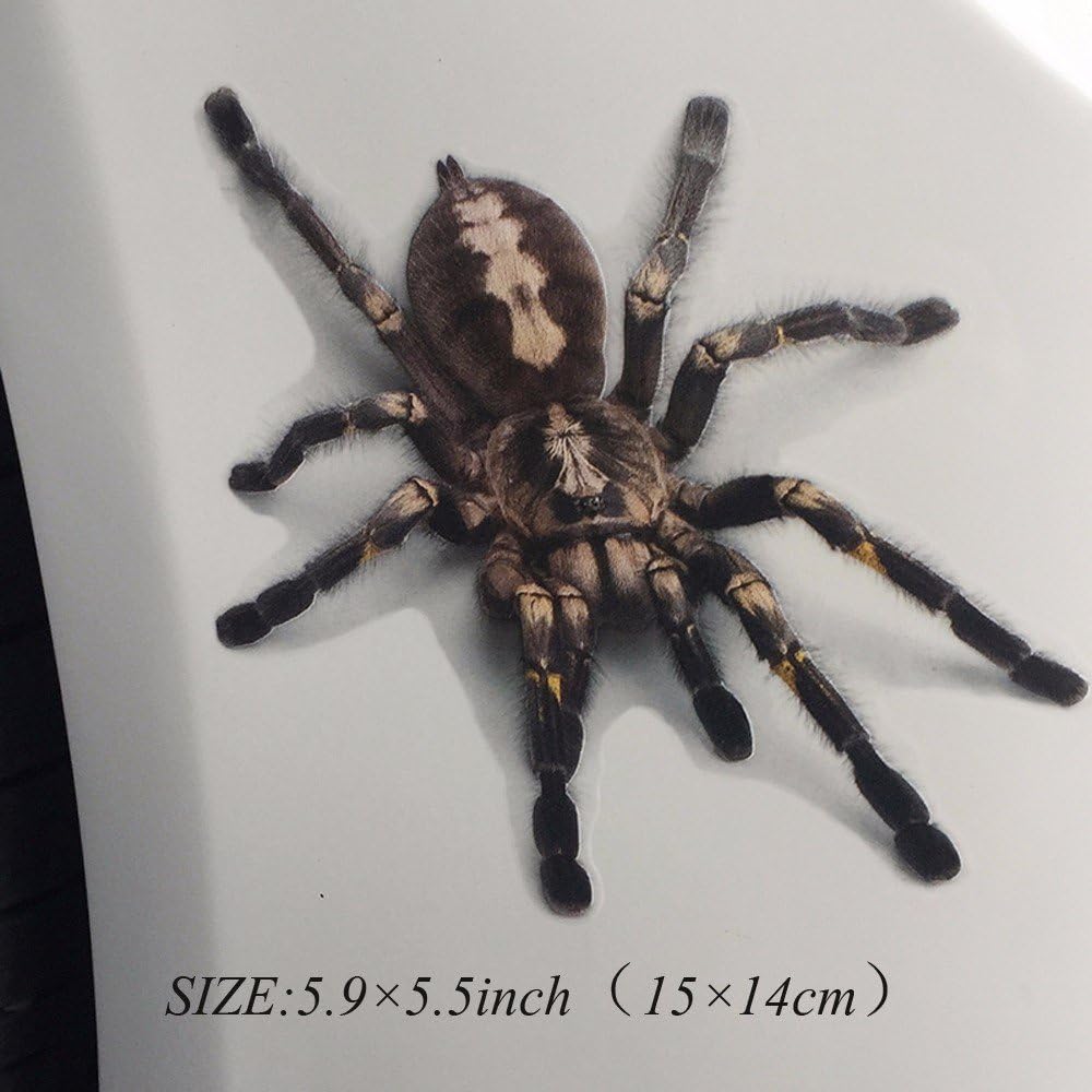 3D Transparent Three-Dimensional Prank Car Stickers Funny Scratches Stickers Spider Decorative Oil Tank Cover Sticker 5.9 Inches*5.5 Inches