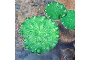 Superdream Artificial Realistic Lily Pads Floating Scenery Lotus Pods for Pool Decoration Aquarium Fish Pond Water Decorative (Pack of 6)