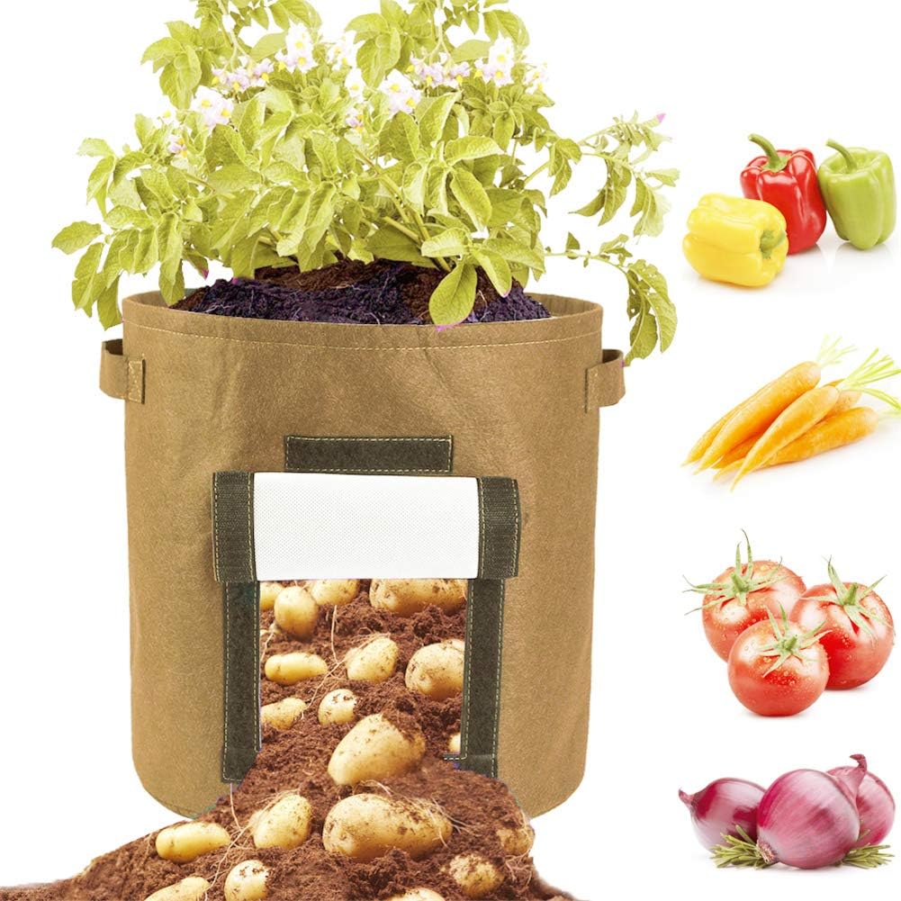 Sac Culture Pomme De Terre Gamm Vert