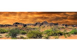 BANNERSNSTANDS Reptile Habitat, Terrarium Background, Orange Desert Sky with Cactus - (Various Sizes) (12" H x 30" W)