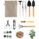 JINLYXHUI 10 Piece Set of Garden Potted Tools Mini Garden Tool Set for Miniature Succulent Bonsai Cactus Planting Transplant Gardening Hand Tools
