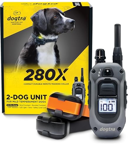 Amazon.com: Dogtra