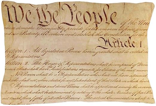 Amazon Com Cafepress Us Constitution Standard Size Pillow Case