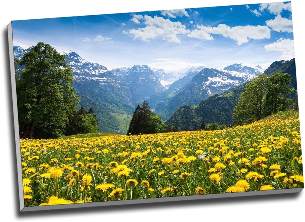 large landscape photo prints